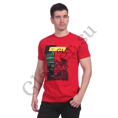 15235 Футболка для мужчин
