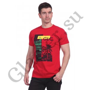 15235 Футболка для мужчин
