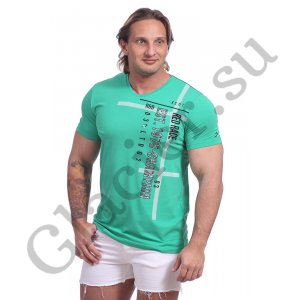 4042R Футболка для мужчин